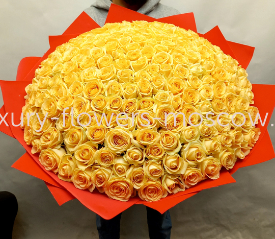 201 персиковая роза рф