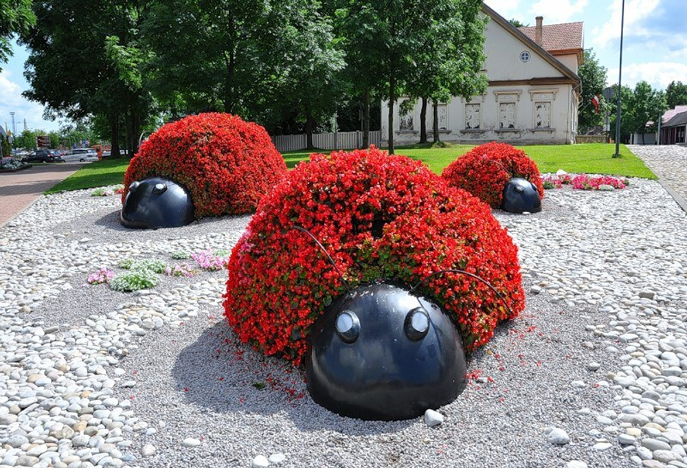 Топиарная фигура Божья коровка