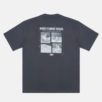  Футболка мужская Dickies Wolfhurst Short Sleeve Tee 