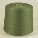 Лидия Сильвер ПШ