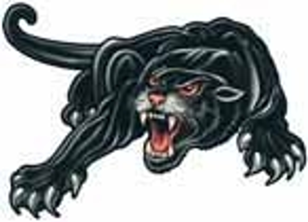 Наклейка "Пантера" винил (1к) 12*17см VRC-467 (05154)