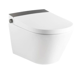 Умный унитаз RIIFO Provecta B-2026Q.