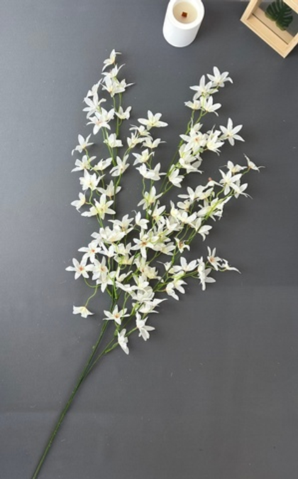 Сакура звёздочка / Арт 1137