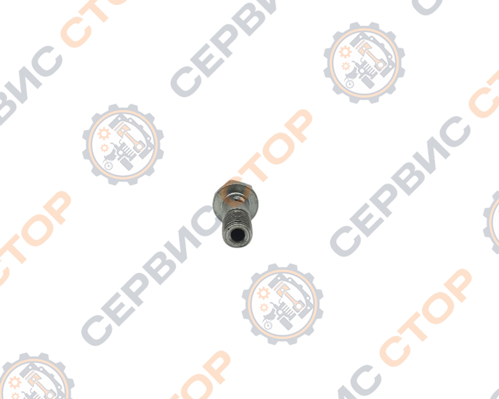C12-TY295-1