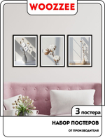 Набор постеров "Хлопок"  3шт.