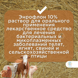 ВИК Энрофлон 10%, раствор для лечения бактериальных и микоплазменных заболеваний сельскохозяйственных животных, 10 мл, 1шт. Энрофлоксацин.