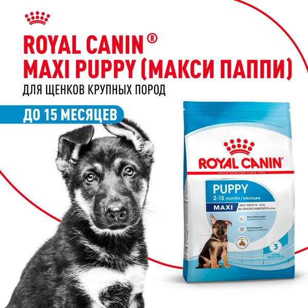 Сухой корм Royal Canin Maxi Puppy для щенков крупных размеров в возрасте до 15 месяцев