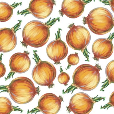 illustration of red onion with slices vegetable pattern set