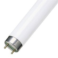 Лампа люминесцентная Osram L 18W/640 T8 18W 4000K G13 37030