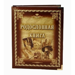 Альбом генеалогическое древо "Старинная", обложка из ламинированного картона