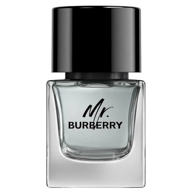 Мужская парфюмерия BURBERRY Mr. Burberry Eau de Toilette зимний