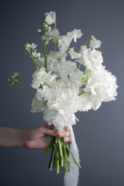 White dreams
