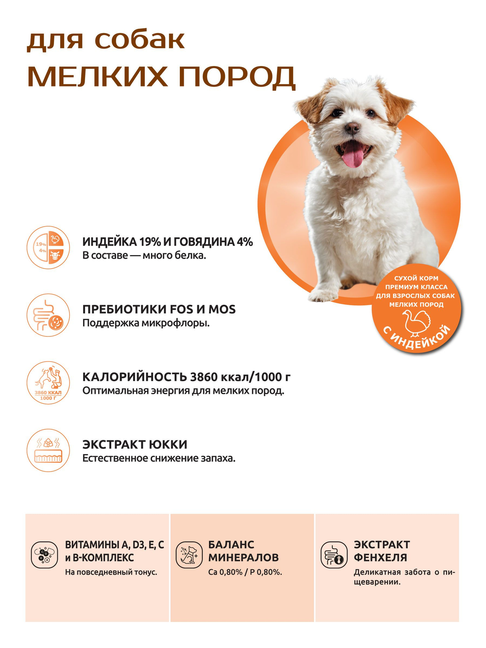 Quattro корм для собак мелких пород, с индейкой, 800 гр, QUATTRO