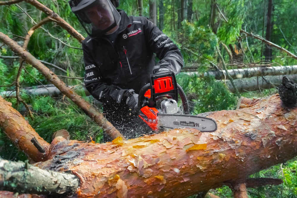 Бензопила МОБИЛ К XC238 ПРЕМИУМ 38,5 куб.см., 2,2 л.с., 4,7 кг, шина 14, Comfort Start, Oregon пильн(MBK0027195)