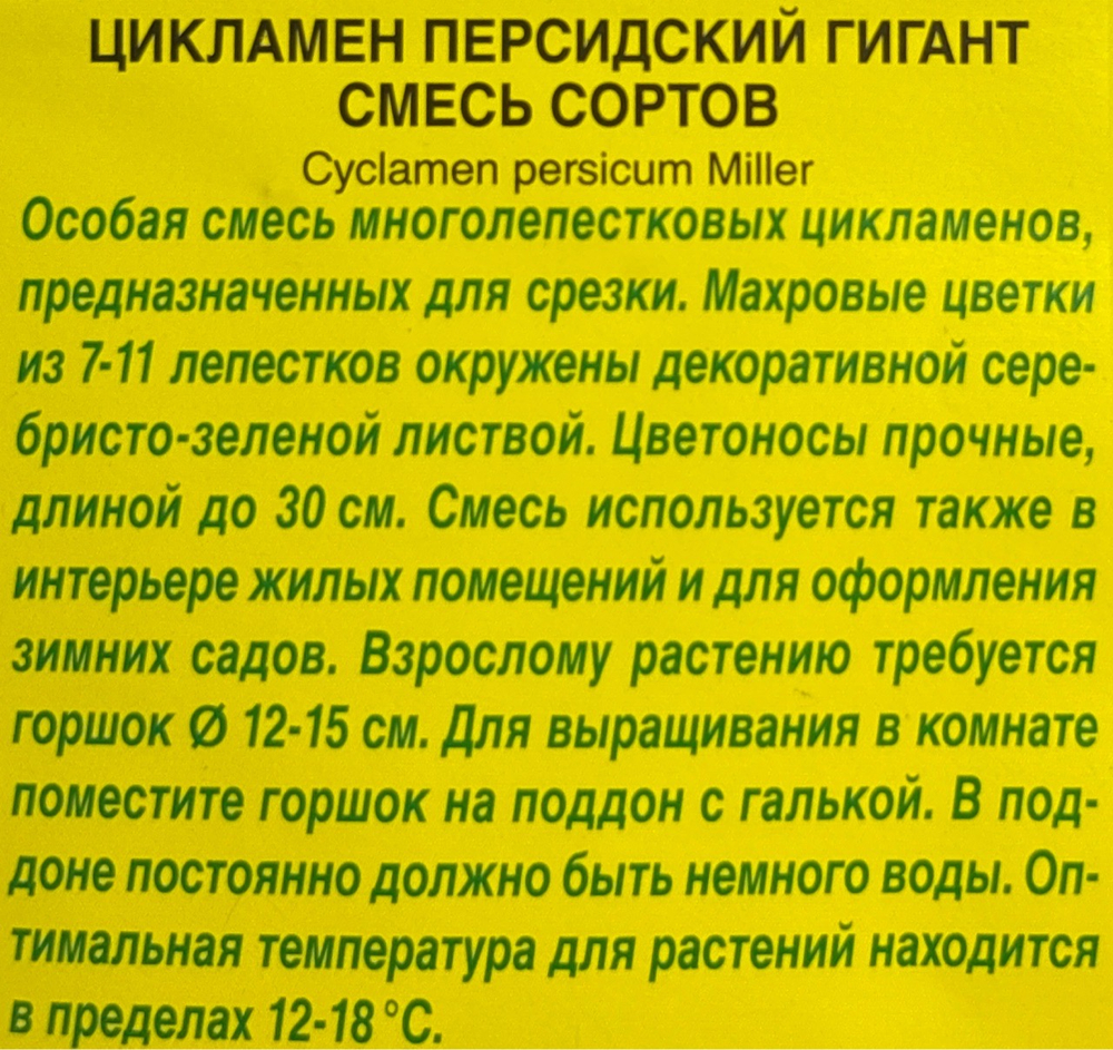 Цикламен персидский Гигант смесь 3 шт СМЦ-365