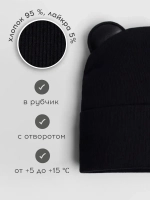 Шапка для мальчика осенняя с ушками