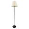 Торшер Arte Lamp Alea A5068PN-1BK