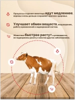 Крепковит для крупного рогатого скота 2кг *3шт