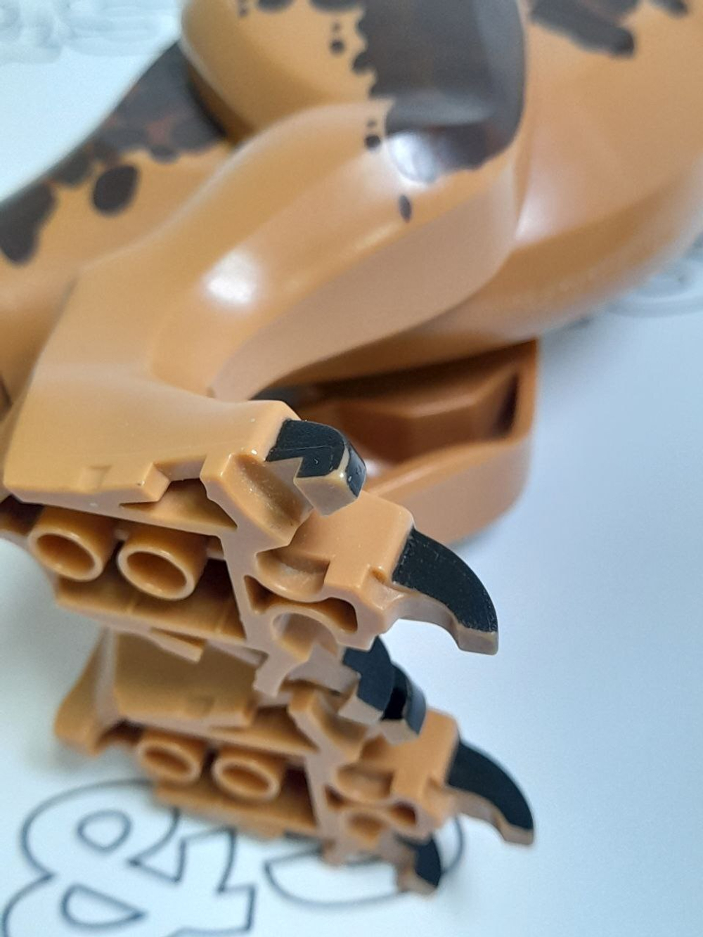 USED Карнотавр carn01