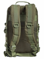 Рюкзак Assault 2 Olive Tactical Pro