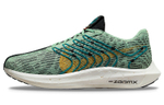 Кроссовки Nike Pegasus Turbo Next Nature