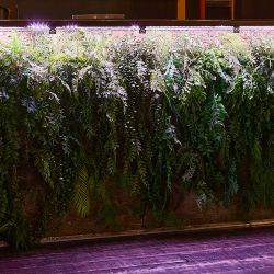 ULS-P71-2835-42LED-m-IP65-3M-SPLE RRP24C00 Комплект светодиодной ленты 3м. Спектр для фотосинтеза. Адаптер 24Вт. Блистер. TM Uniel