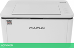 Принтер Pantum BP2300