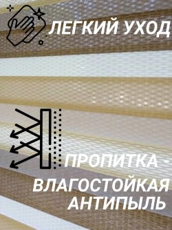 Рулонные шторы День-Ночь Зебра 58х110 см