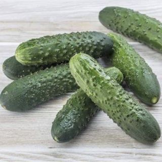 Огурец Мадрилене F1 1000 (семян)