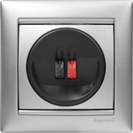 Розетка для акустической системы алюминий Valena Classic LEGRAND