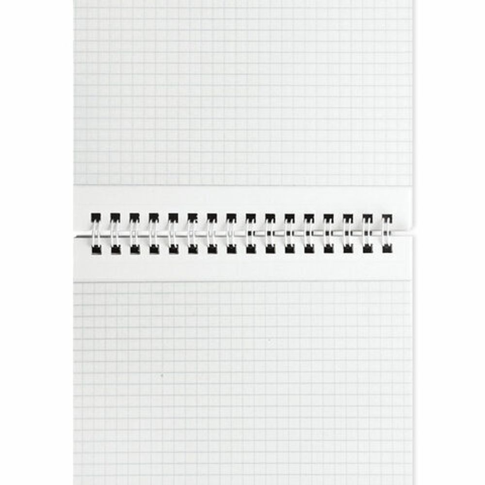 Блокнот А5 (146х206 мм), 60 л., гребень, картон, жесткая подложка, клетка, BRAUBERG, "Black", 114365