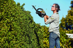 Аккумуляторные мотоножницы Stihl AKKU Compact HSA 56 SET (акб AK10 + зу AL101)