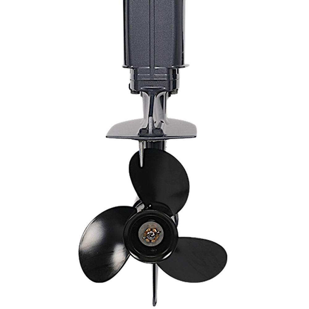 Лодочный мотор ALLFA CG T9.9(20)MAX FWS