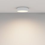 Потолочный светильник Technical C032CL-24W3K-RD-W