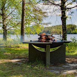 Костровая чаша S-серия D 80XL Чугун