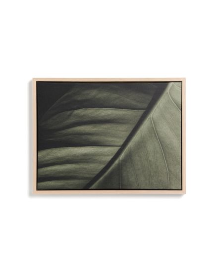 Фотография листа Foliae размер 32,5 x 42,5 см