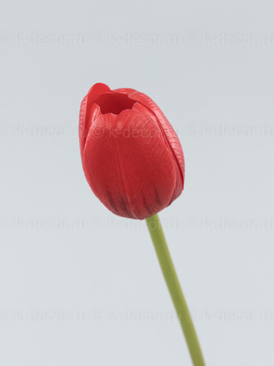 Тюльпан силикон VIP красный