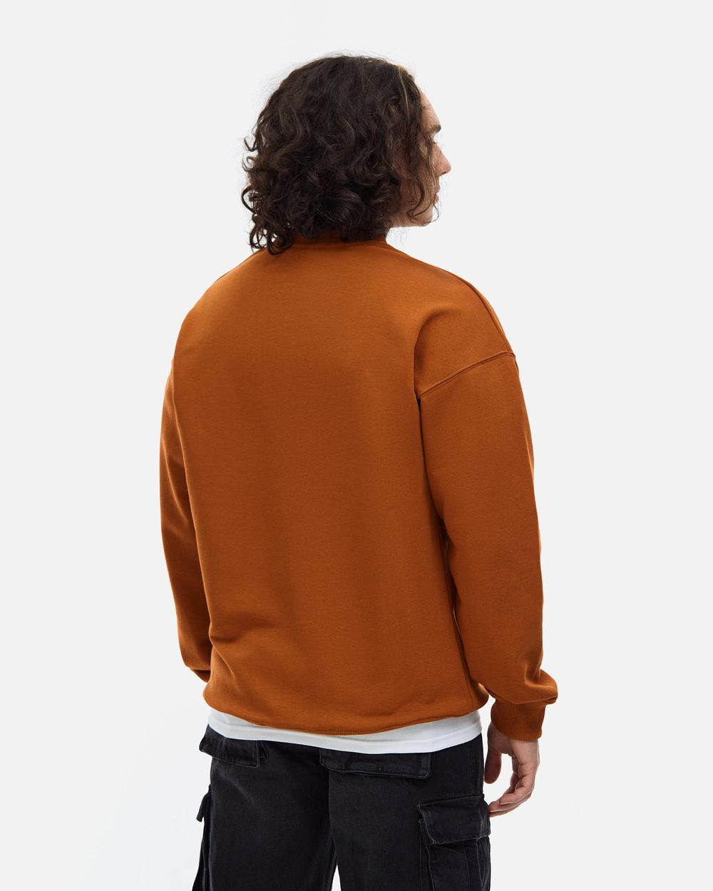 Толстовка Anteater Crewneck BigLogo терракотовая