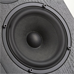 Radiotehnika Vita 2.05 Black Ash полочная профессиональная акустическая система (пара)