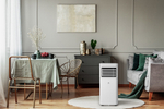 Мобильные кондиционеры ROYAL CLIMA RM-CU30HH-E
