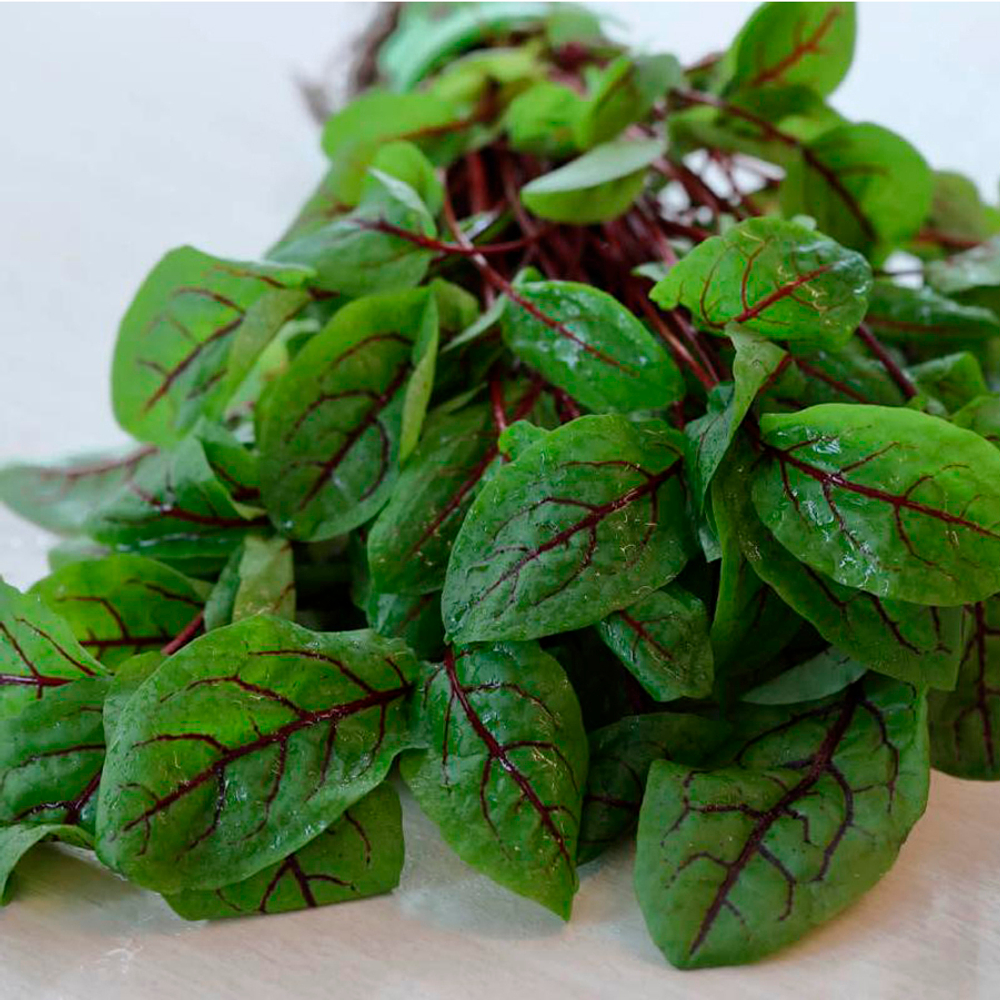 Хамелеон семена щавеля (Гавриш)