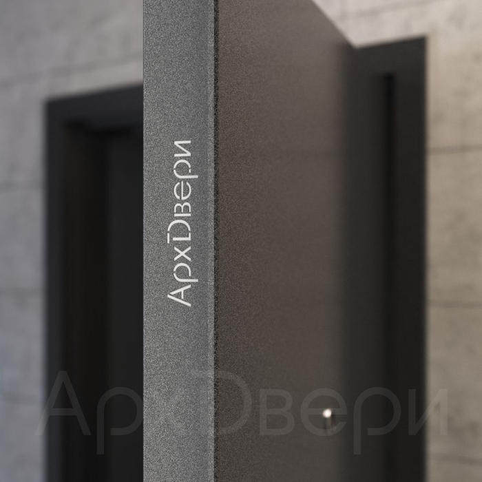 Входная дверь XL