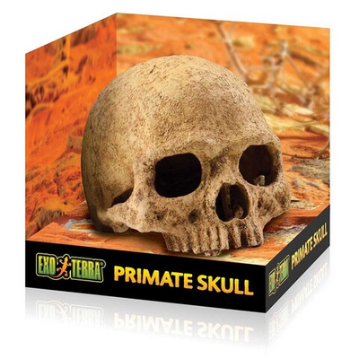 Hagen Exo Terra Primate Skull - декорация "Череп примата"