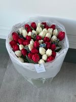 Букет из 51 белых, красных тюльпанов и незабудок - L