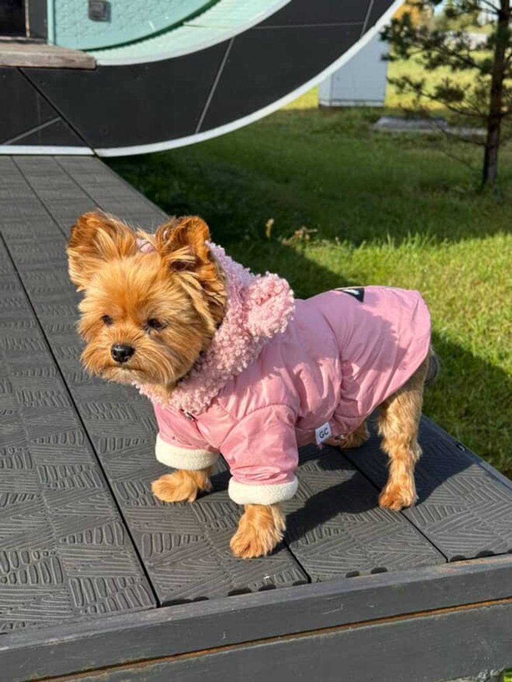 Куртка для собак (девочка)