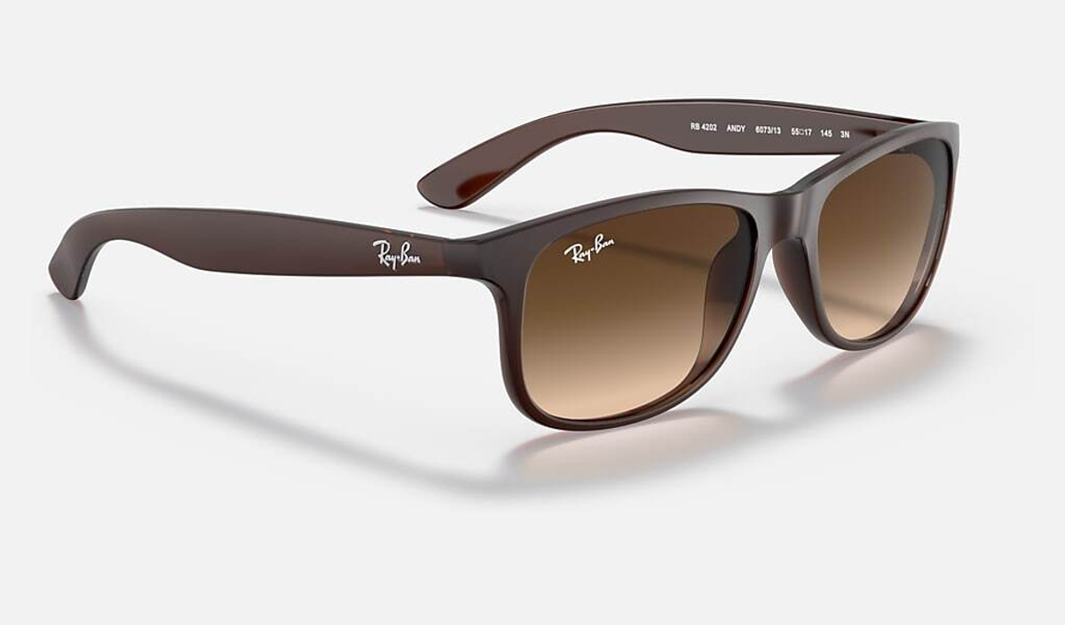 RAY-BAN ANDY RB4202 607313