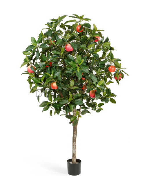 Яблоня с плодами 180 см 2/2 10.59506N