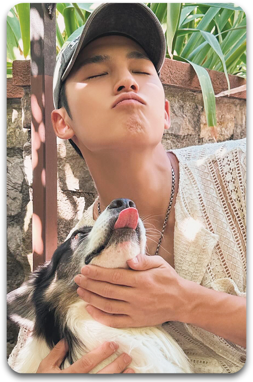 Карта #0320 / Mingyu (SEVENTEEN)