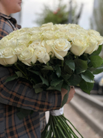 Белая роза сорт «Мондиаль» (Эквадор)