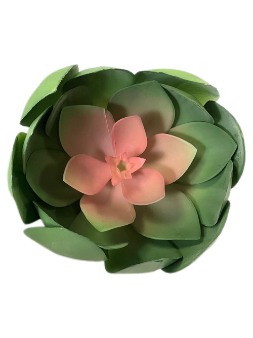 Суккулент 130 зеленый